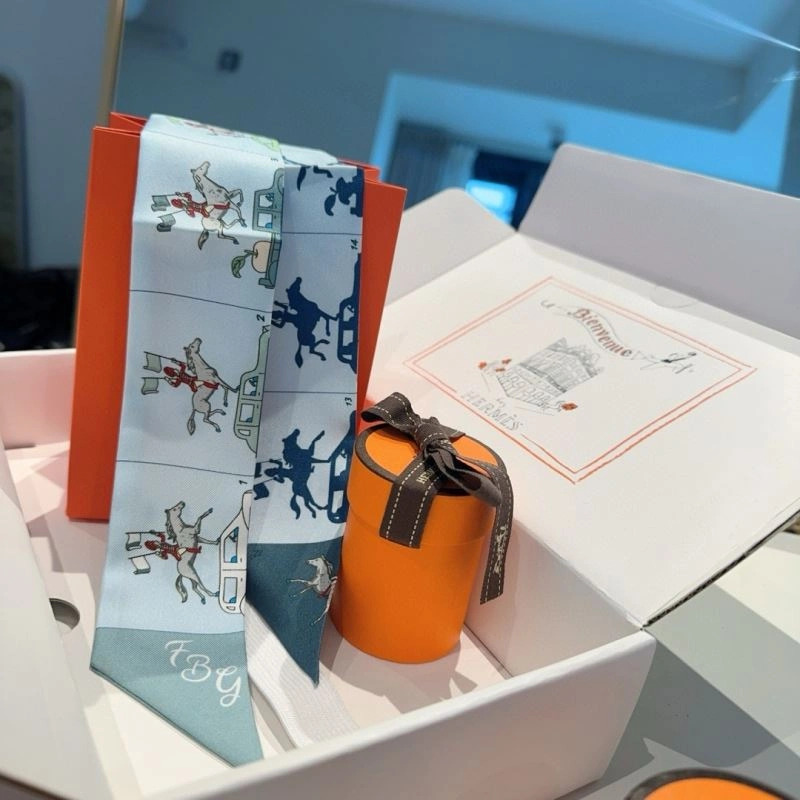 Hermes Silk WellDesigned 272225