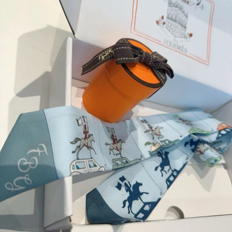Hermes Silk WellDesigned 272225