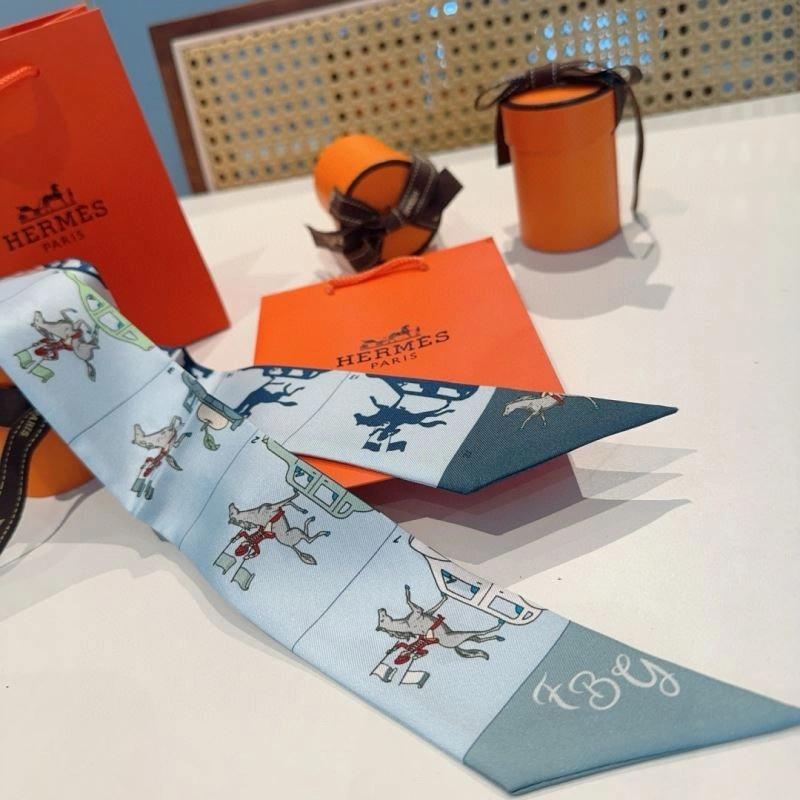 Hermes Silk WellDesigned 272225