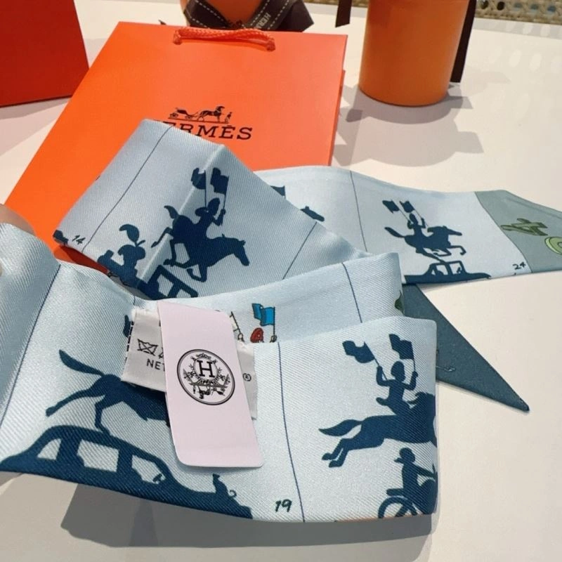 Hermes Silk WellDesigned 272225
