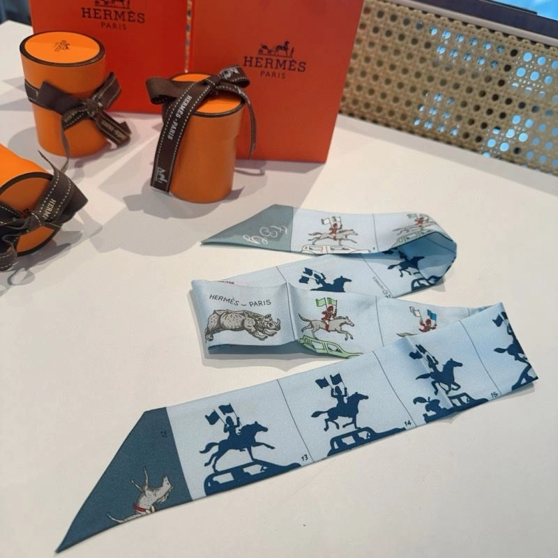 Hermes Silk WellDesigned 272225