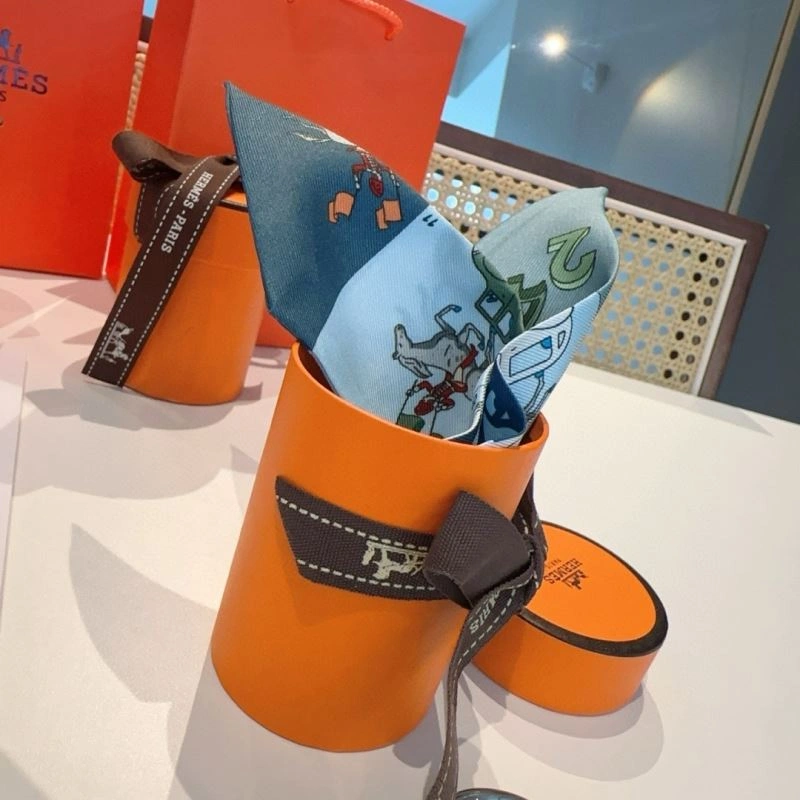 Hermes Silk WellDesigned 272225