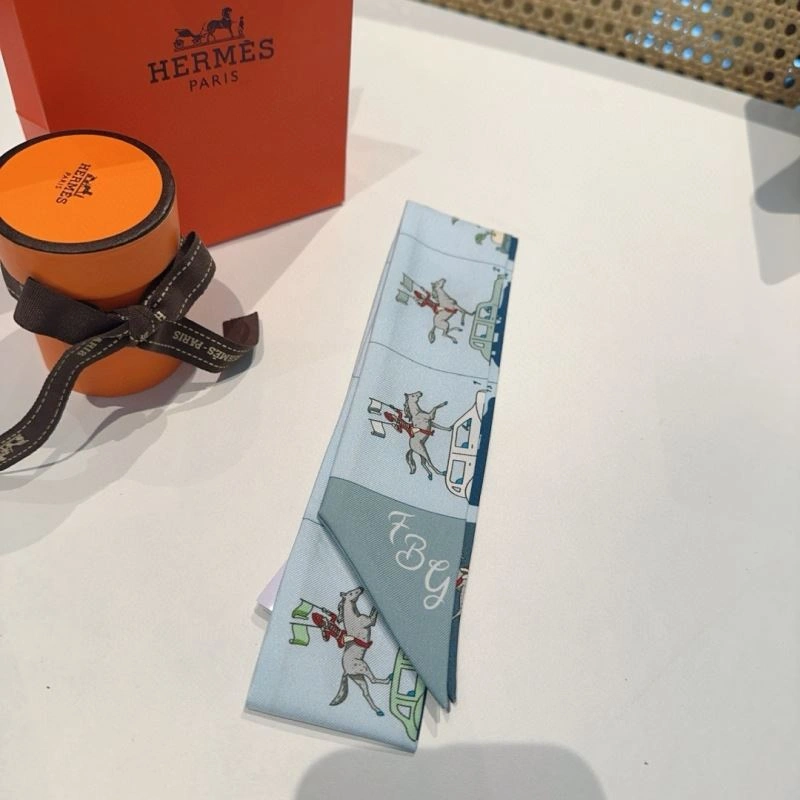 Hermes Silk WellDesigned 272225