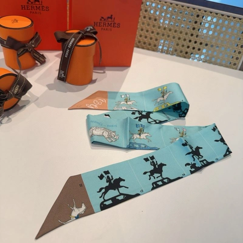 Hermes Silk Supportive 272222