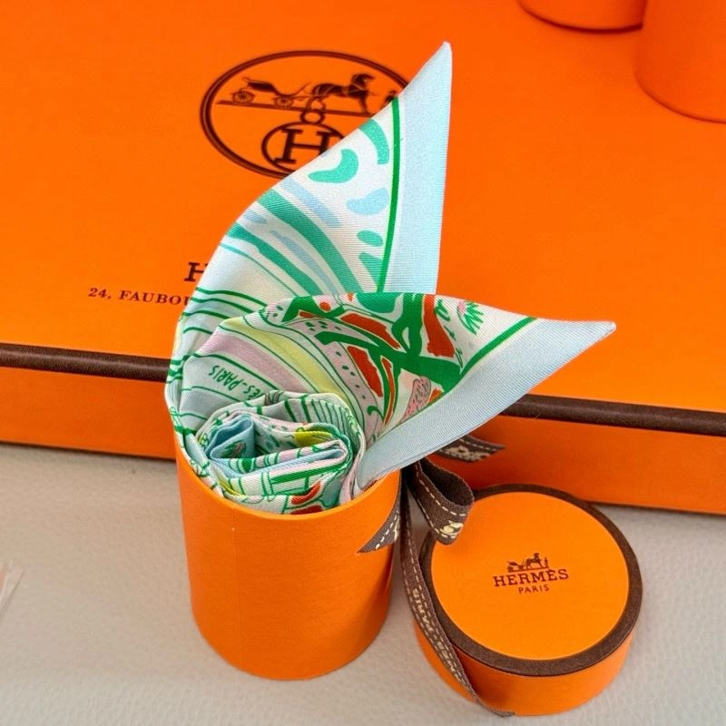 Hermes Silk Comfortable 272227