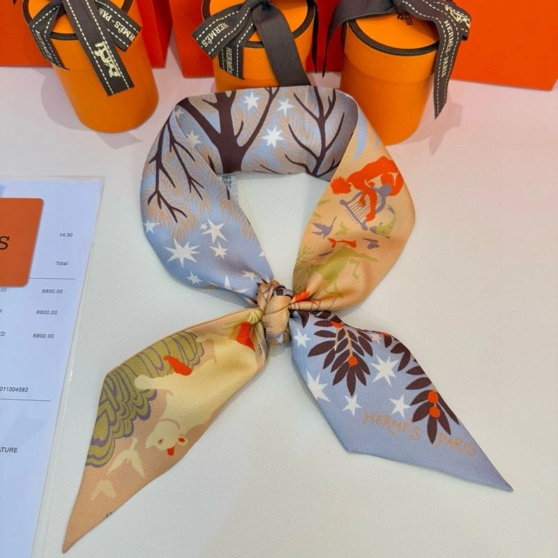 Hermes Silk Durable 272209