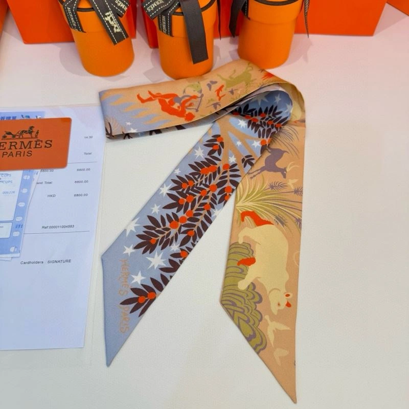 Hermes Silk Durable 272209