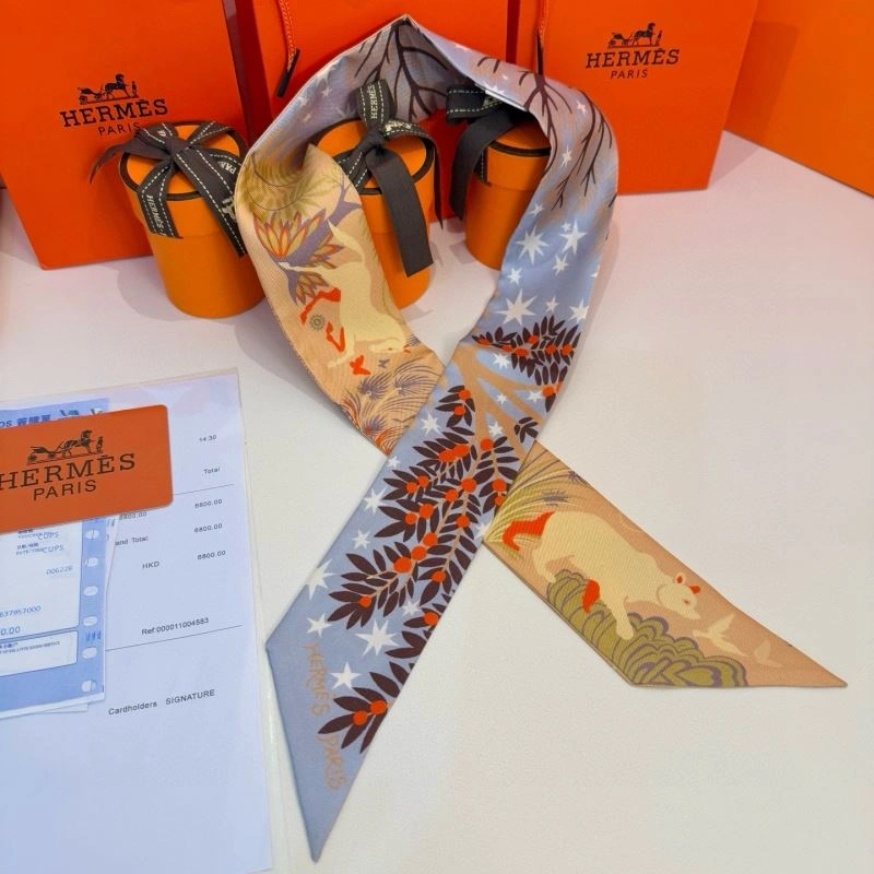 Hermes Silk Durable 272209