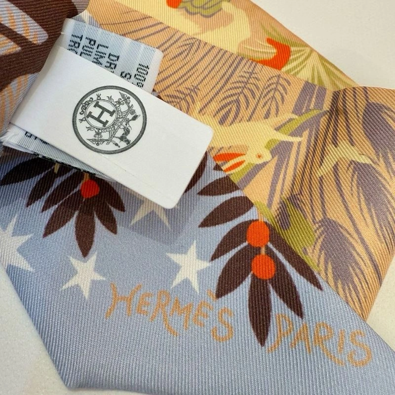 Hermes Silk Durable 272209