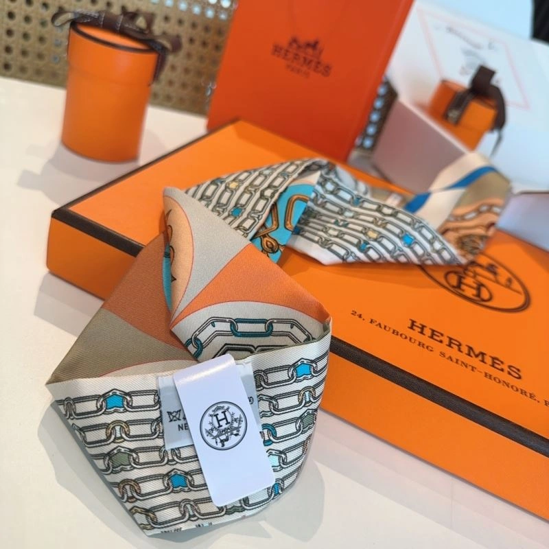 Hermes Silk Flexible 272208