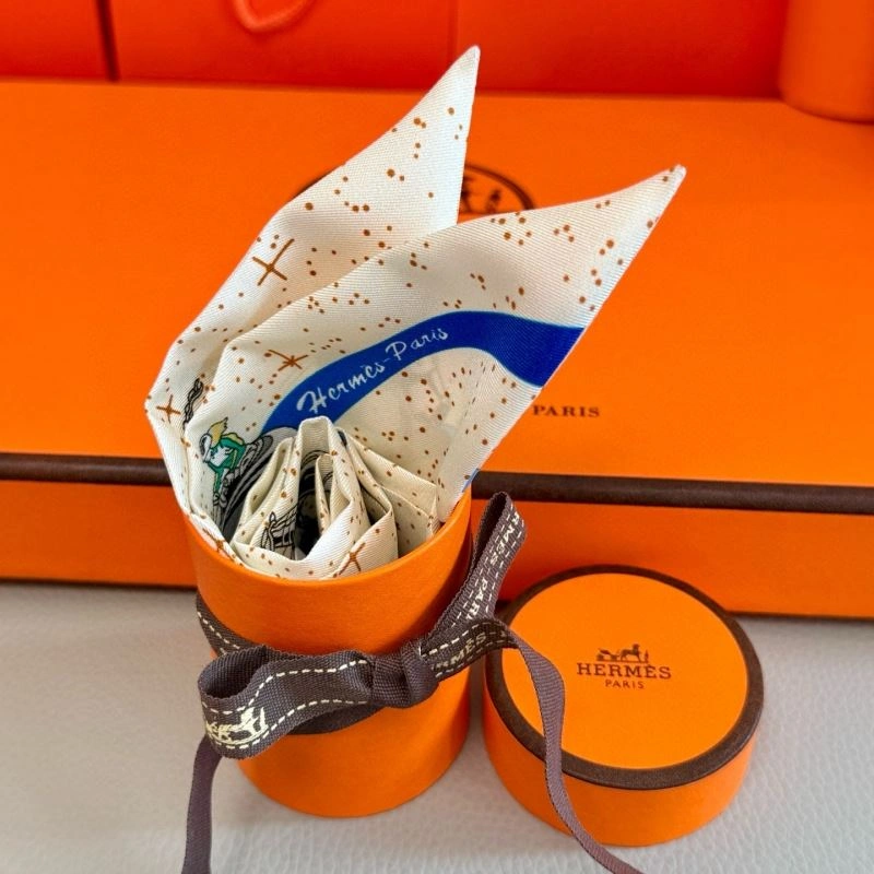 Trendy Hermes Silk 272204