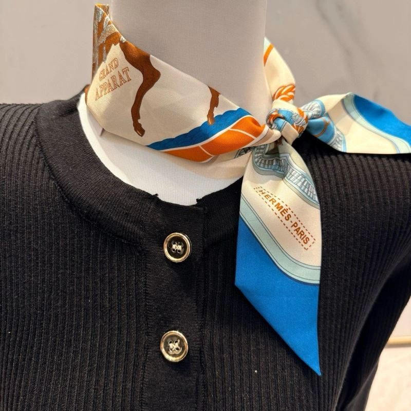 Elegant Hermes Silk 272186