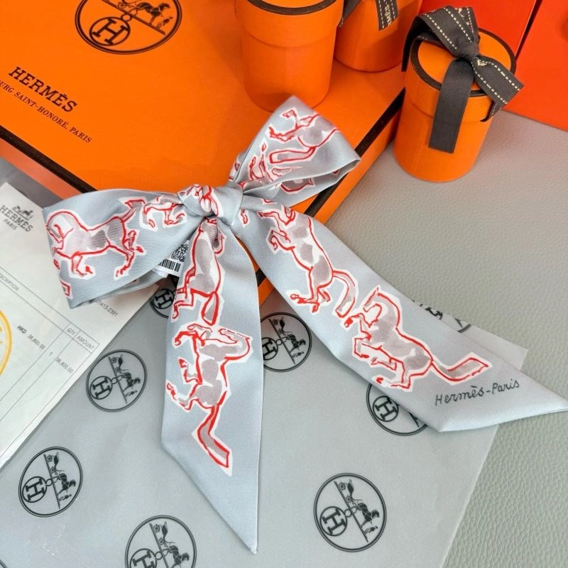 Chic Hermes Silk 272189
