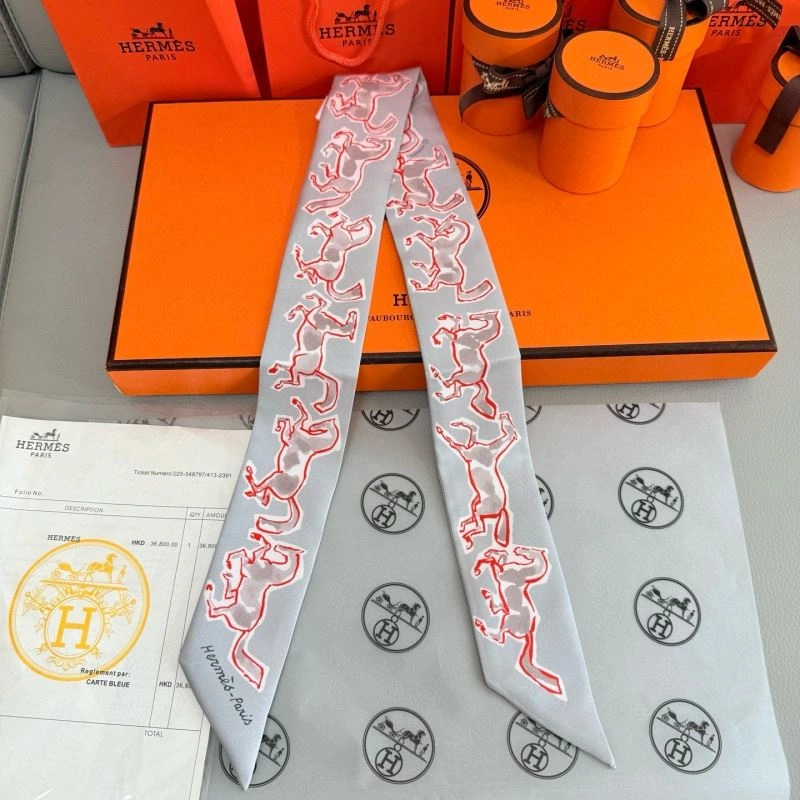 Chic Hermes Silk 272189