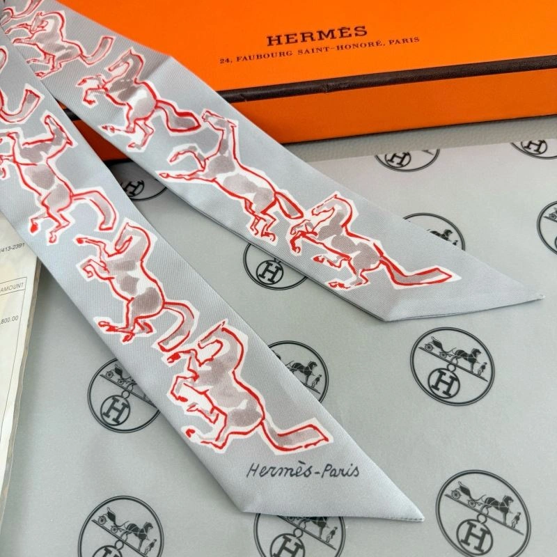 Chic Hermes Silk 272189