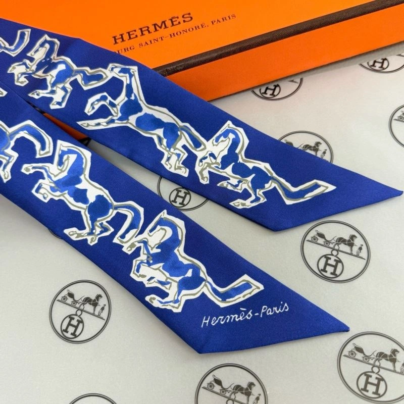 Comfortable Hermes Silk 272180