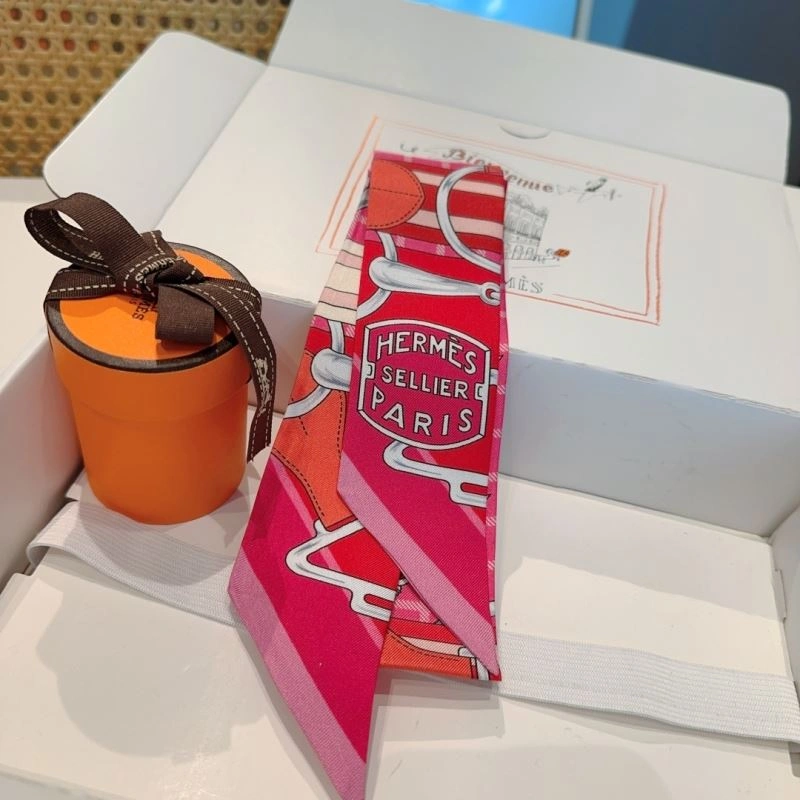Hermes Silk MultiPurpose 272161