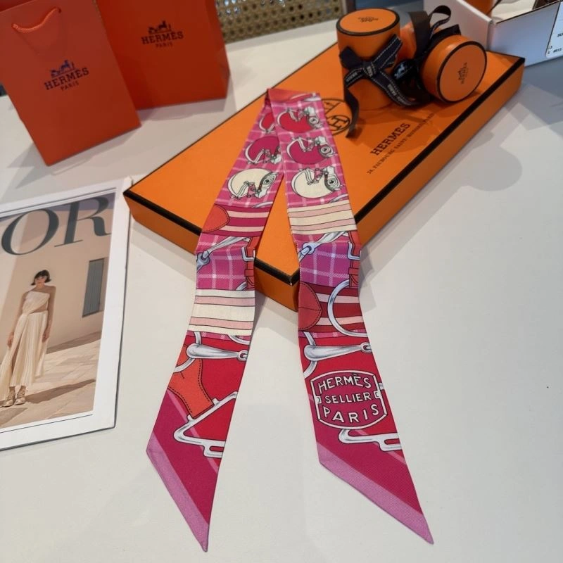 Hermes Silk MultiPurpose 272161