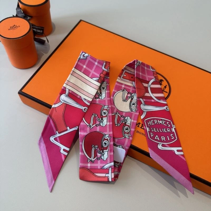 Hermes Silk MultiPurpose 272161