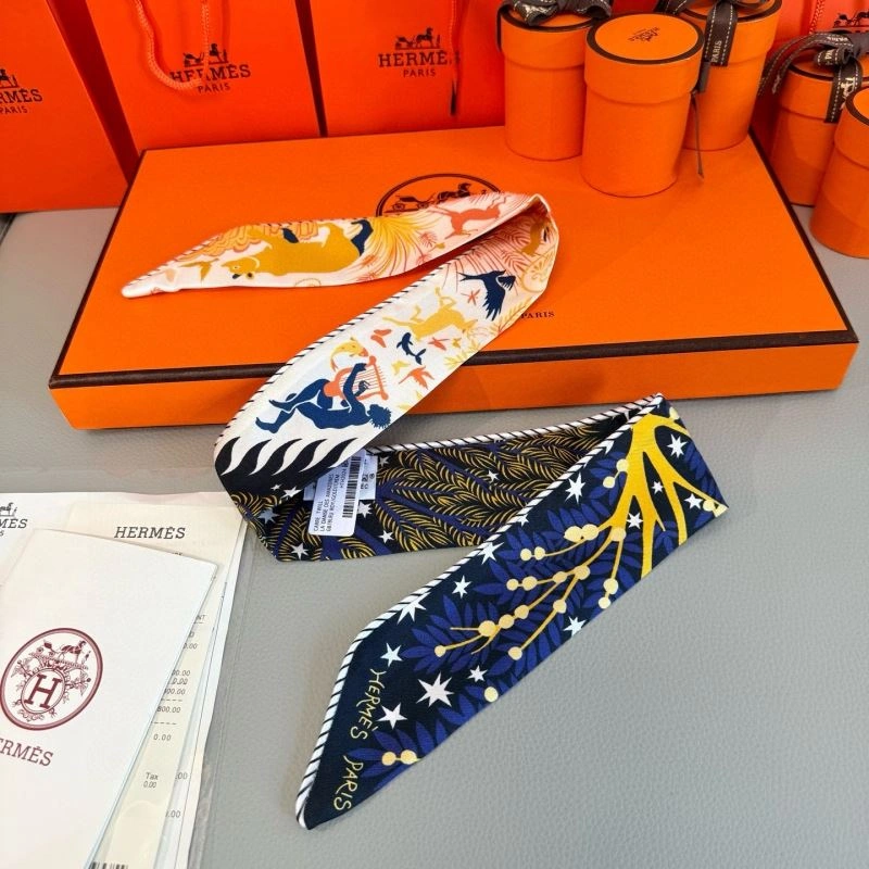 Hermes Silk Sophisticated 272158