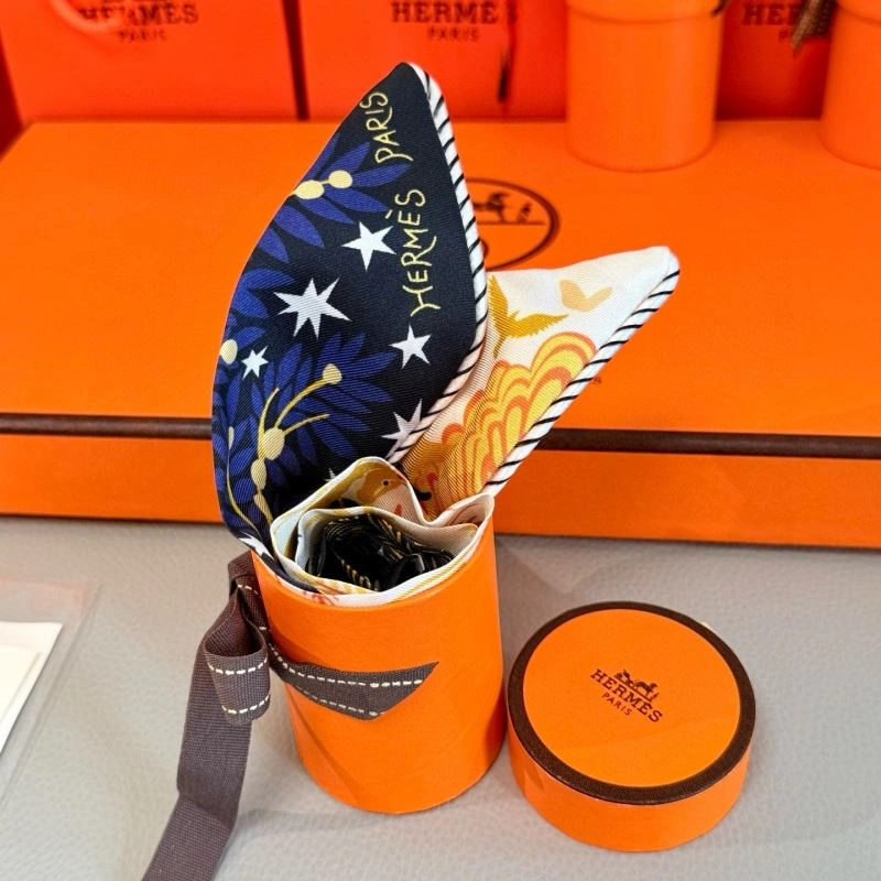 Hermes Silk Sophisticated 272158