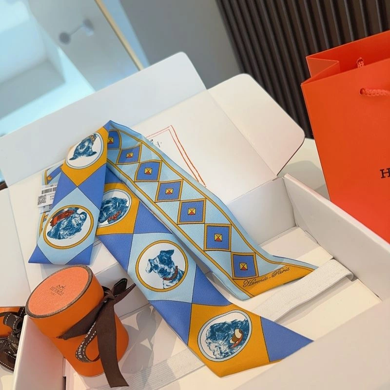 Hermes Silk Comfortable 272105