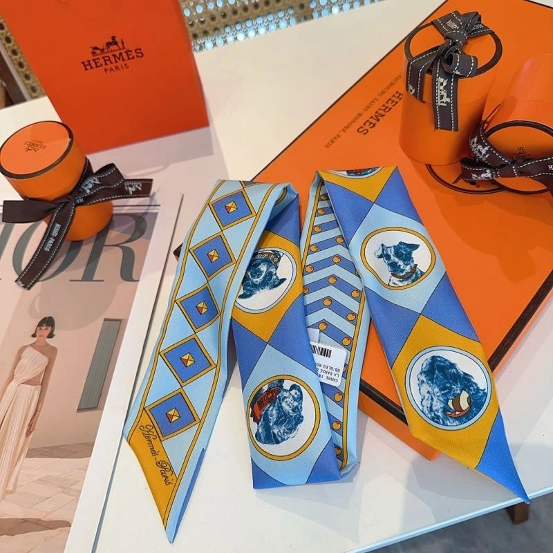Hermes Silk Comfortable 272105