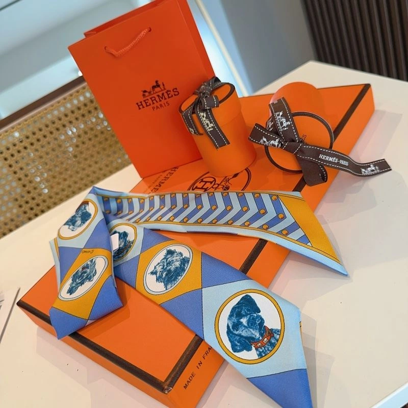 Hermes Silk Comfortable 272105