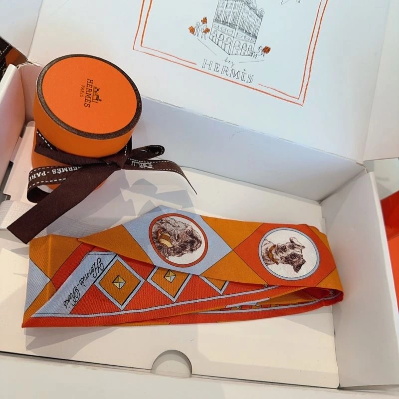 Hermes Silk Packable 272102