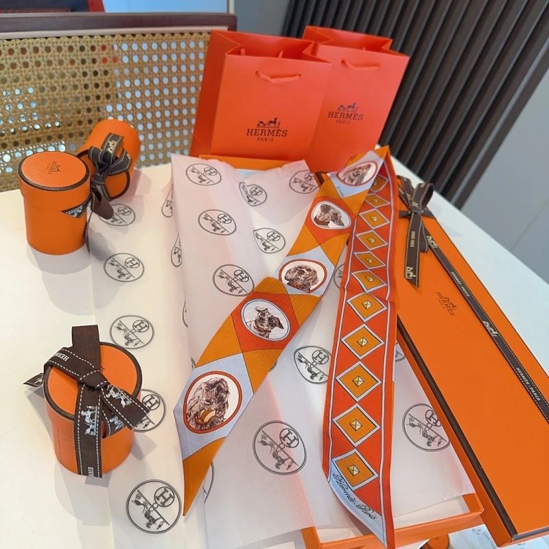 Hermes Silk Packable 272102