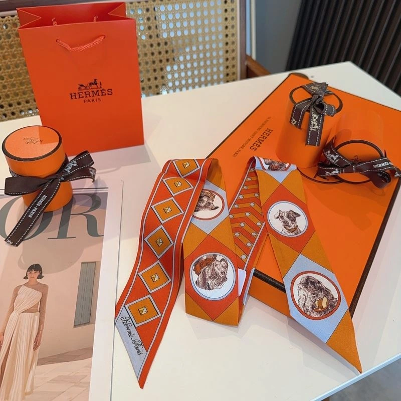Hermes Silk Packable 272102
