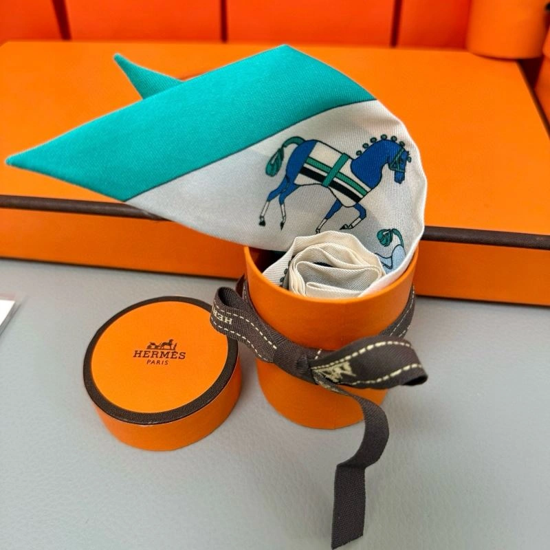 Hermes Silk Affordable 272104