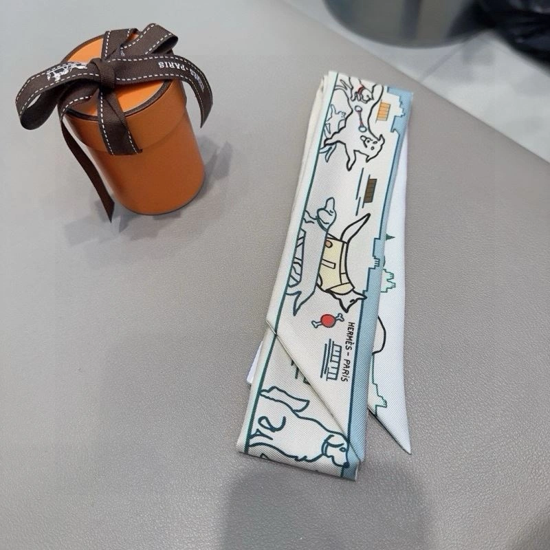 Functional Hermes Silk 272098