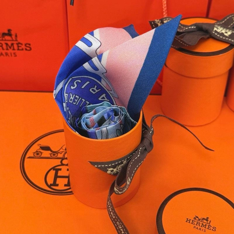 Hermes Silk FreshLook 272079