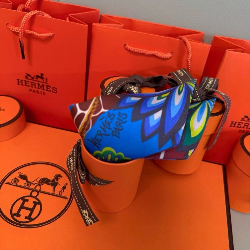 Hermes Silk StreetReady 272095