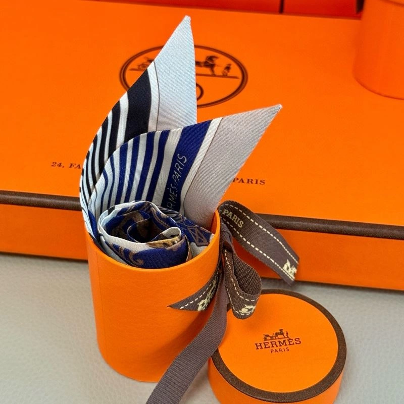 Bold Hermes Silk 272070