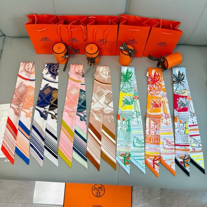EyeCatching Hermes Silk 272068