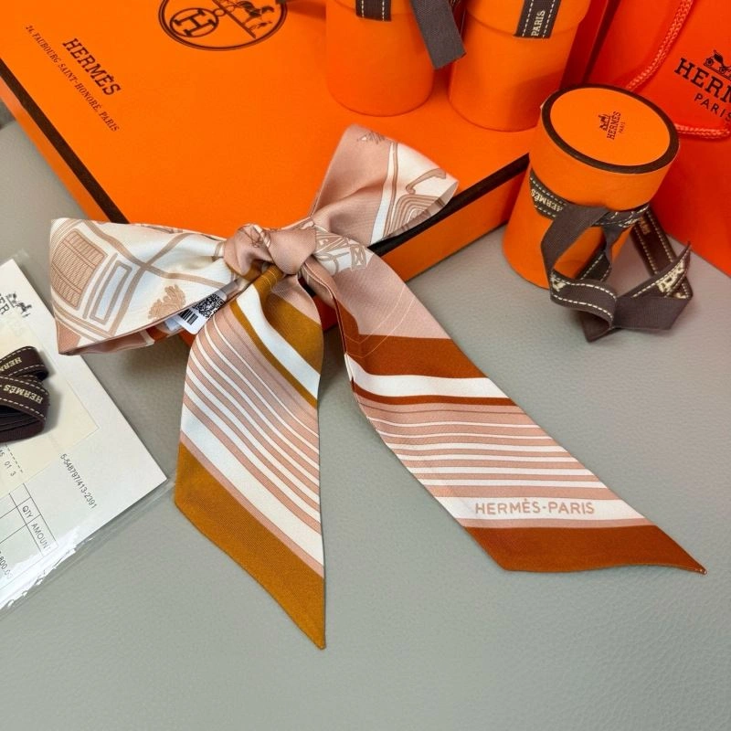EyeCatching Hermes Silk 272068