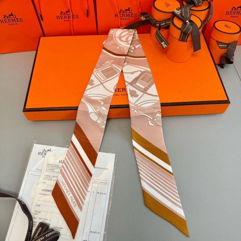 EyeCatching Hermes Silk 272068
