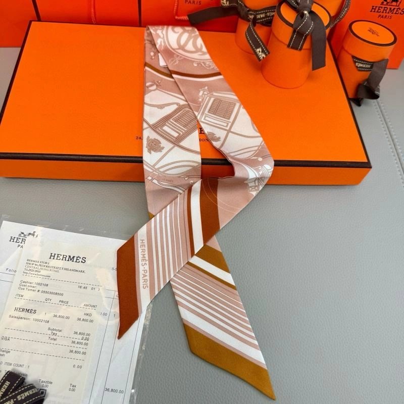 EyeCatching Hermes Silk 272068