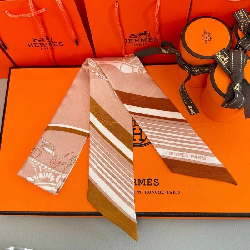EyeCatching Hermes Silk 272068