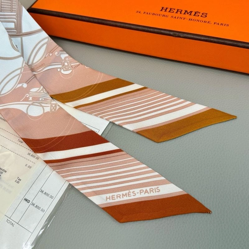 EyeCatching Hermes Silk 272068