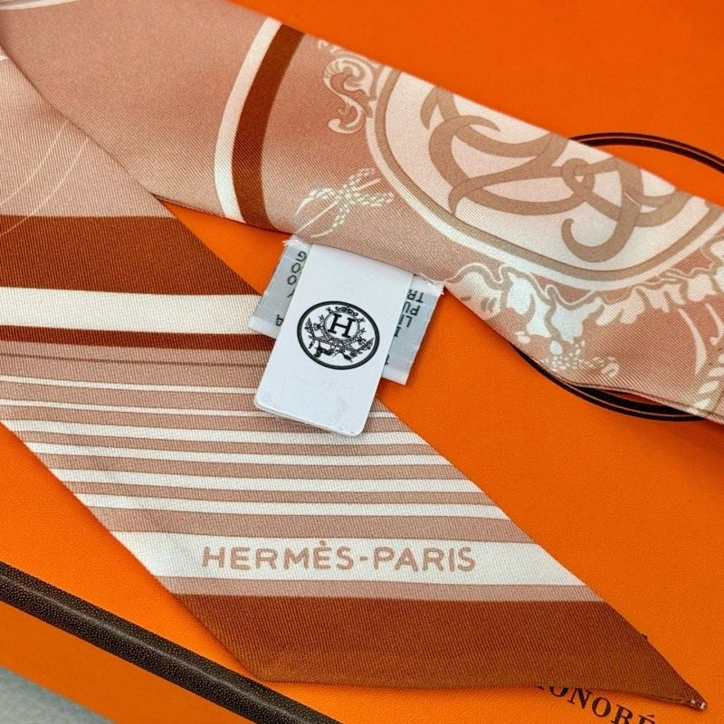 EyeCatching Hermes Silk 272068