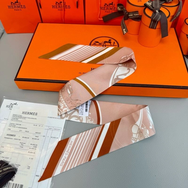 EyeCatching Hermes Silk 272068