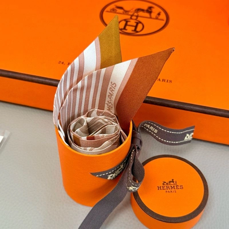 EyeCatching Hermes Silk 272068