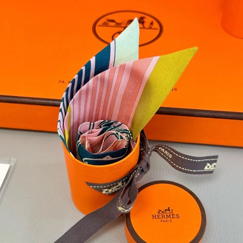 Supportive Hermes Silk 272067
