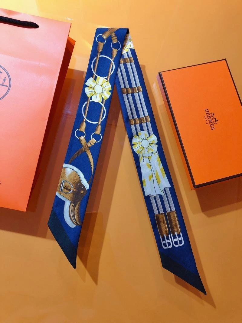 Colorful Hermes Silk 272533