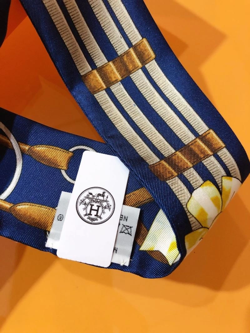 Colorful Hermes Silk 272533