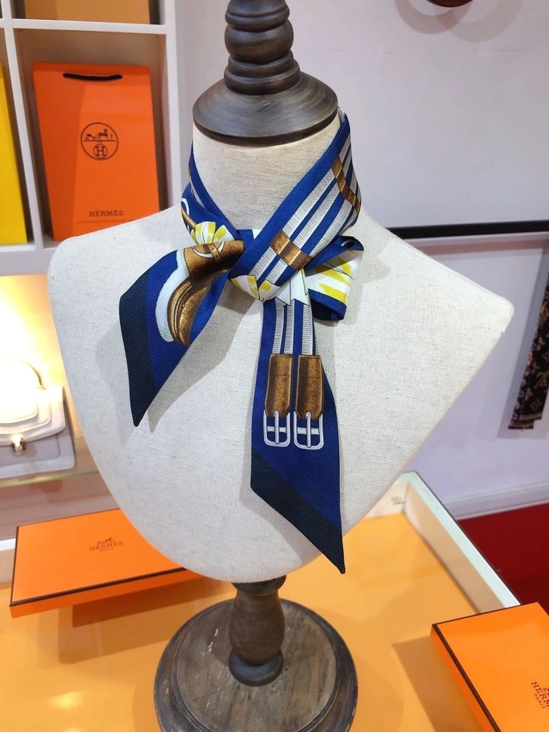 Colorful Hermes Silk 272533