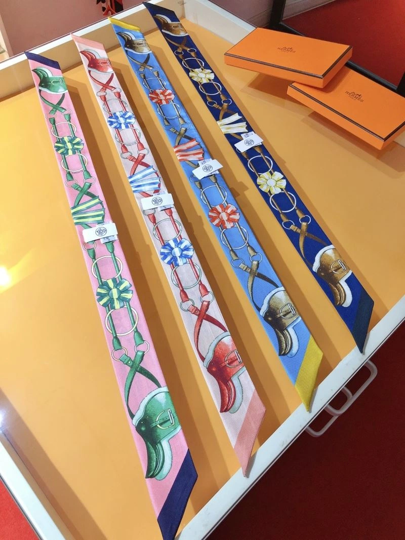 Colorful Hermes Silk 272533